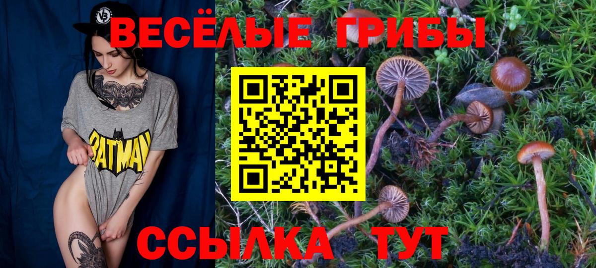 цены наркотик  Галлюциногенные грибы мухоморы  Вход с VPN  Гусь-Хрустальный 