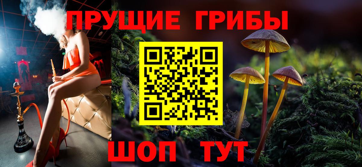Псилоцибиновые грибы Psilocybine cubensis Гусь-Хрустальный